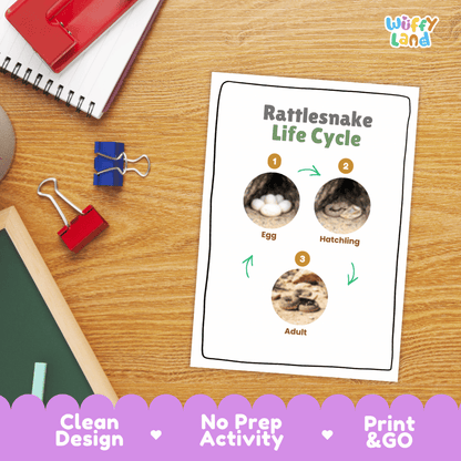 Rattlesnake Life Cycle Poster and Cut and Paste Activity Worksheets