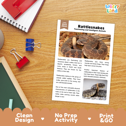Rattlesnake Reading Passage and Comprehension Questions Worksheets