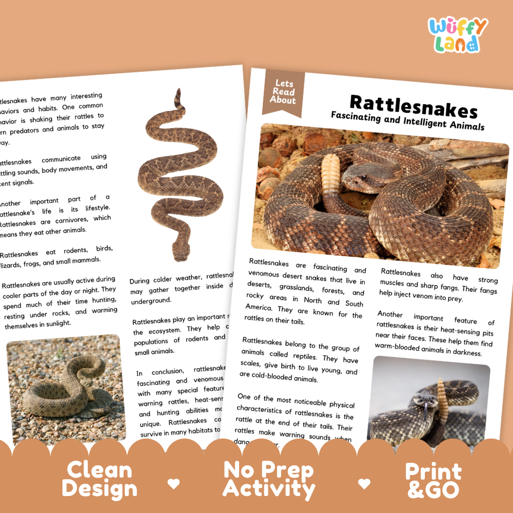 Rattlesnake Reading Passage and Comprehension Questions Worksheets