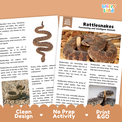 Rattlesnake Reading Passage and Comprehension Questions Worksheets