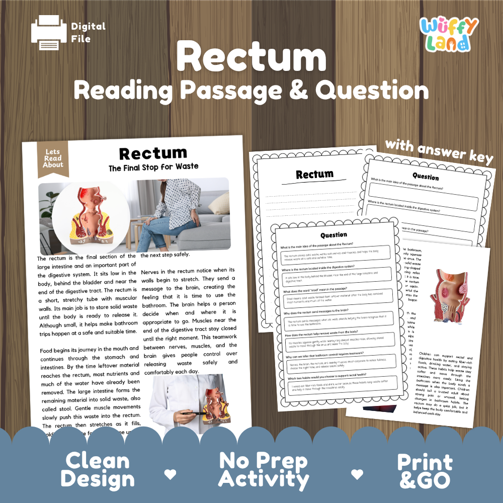 Rectum reading comprehension passage and questions printable activity pack with answer key for elementary students