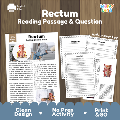 Rectum reading comprehension passage and questions printable activity pack with answer key for elementary students