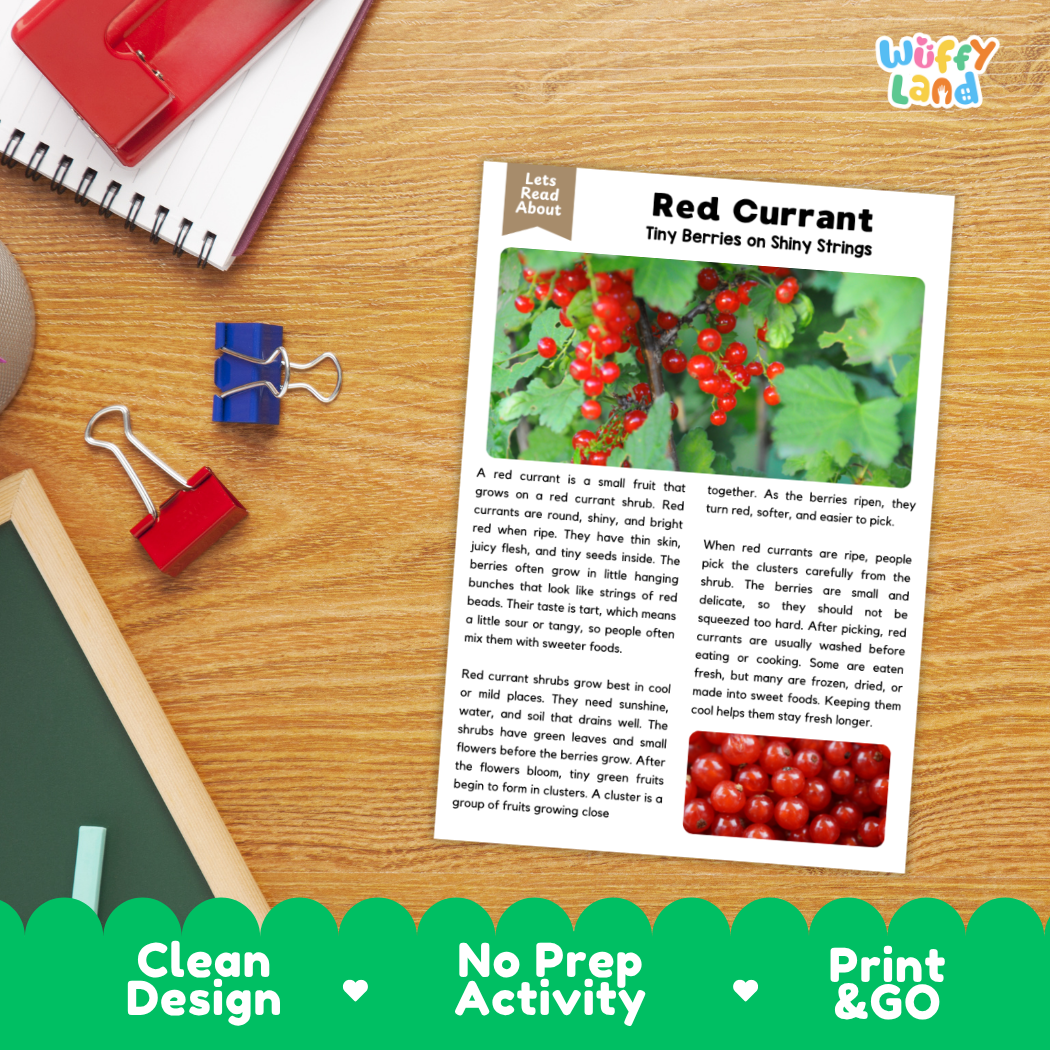 Student reading comprehension worksheet with short-answer questions and lined sections about red currants