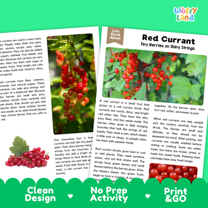 Teacher answer key page showing complete question solutions for red currant reading comprehension practice