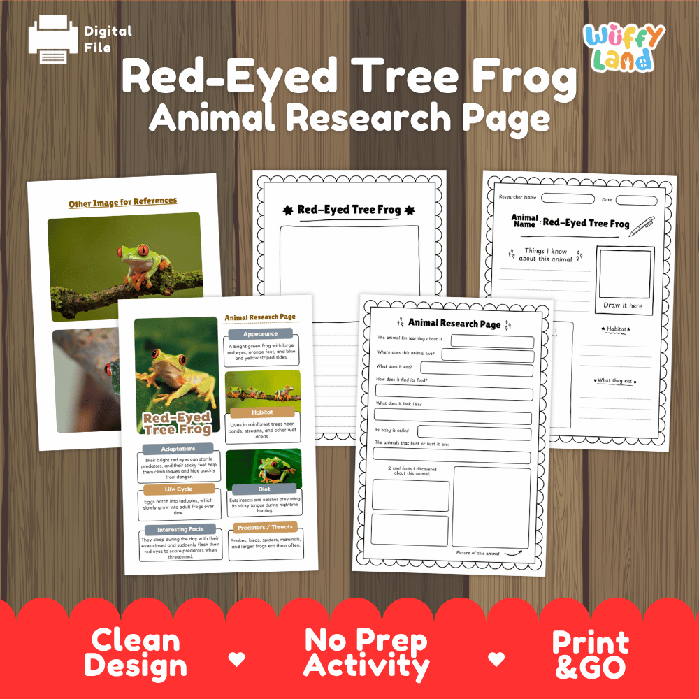 Red-Eyed Tree Frog Animal Research Worksheets and Informational Fact Sheets