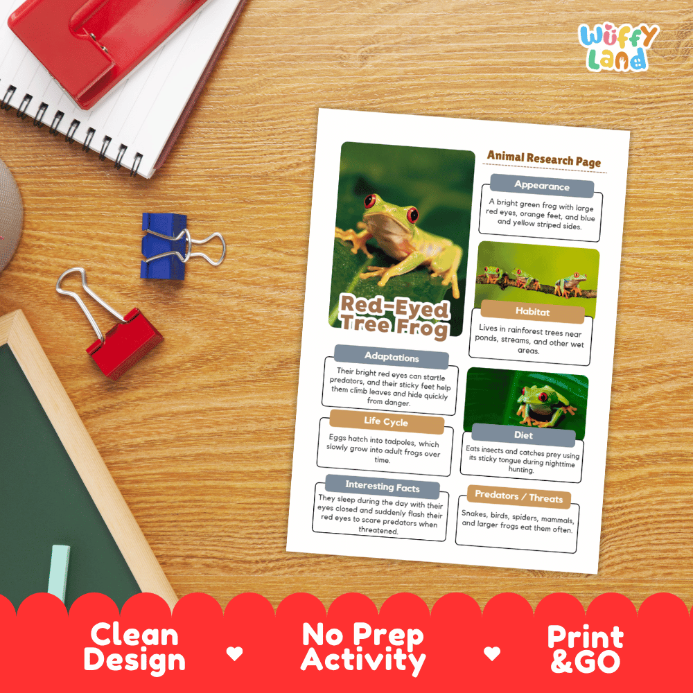 Red-Eyed Tree Frog Animal Research Worksheets and Informational Fact Sheets