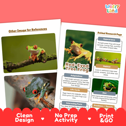 Red-Eyed Tree Frog Animal Research Worksheets and Informational Fact Sheets