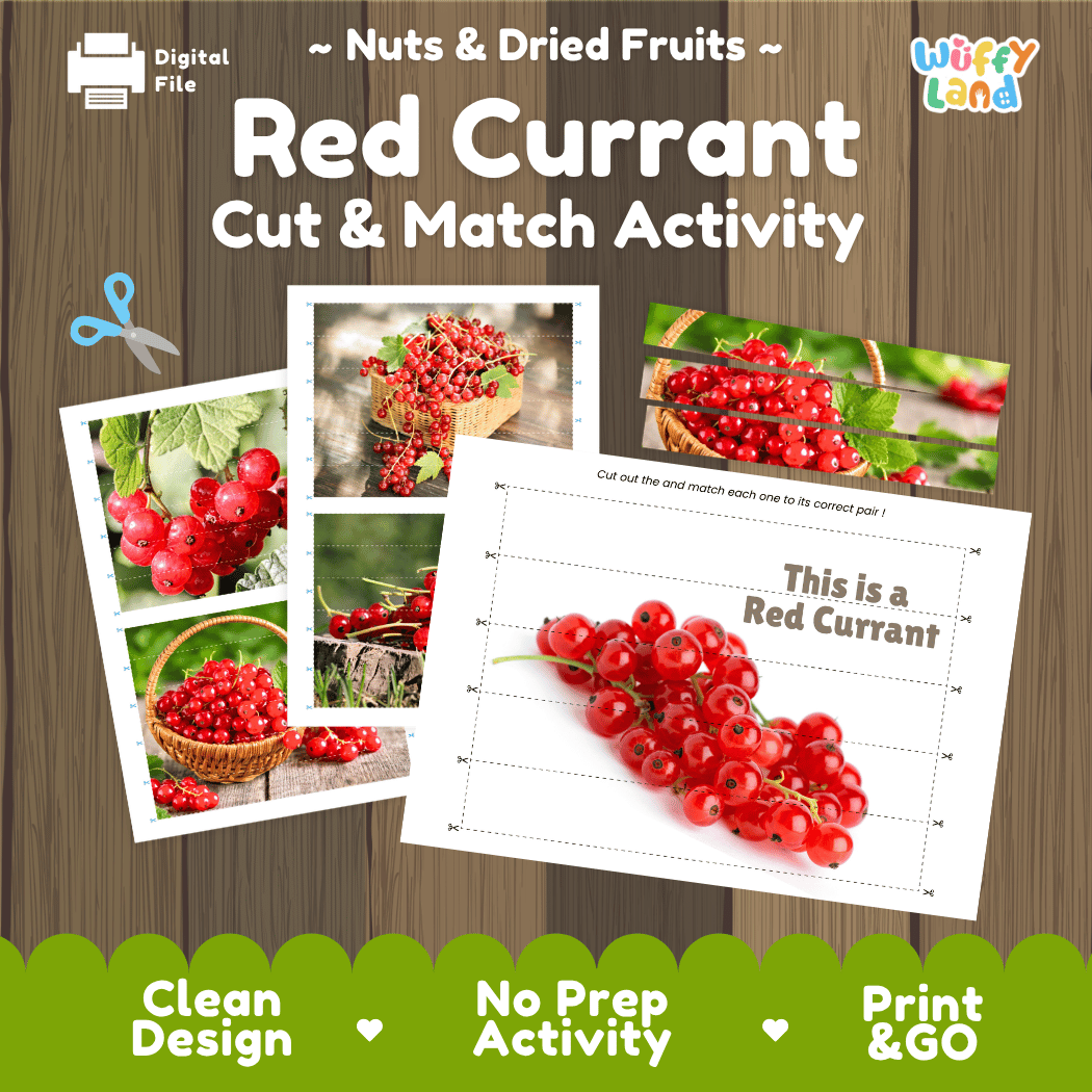 Red Currant Cut and Match Activity Worksheets | Nuts and Dried Fruits Puzzle Printables