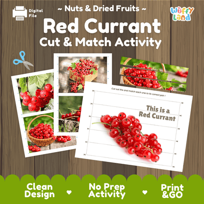 Red Currant Cut and Match Activity Worksheets | Nuts and Dried Fruits Puzzle Printables