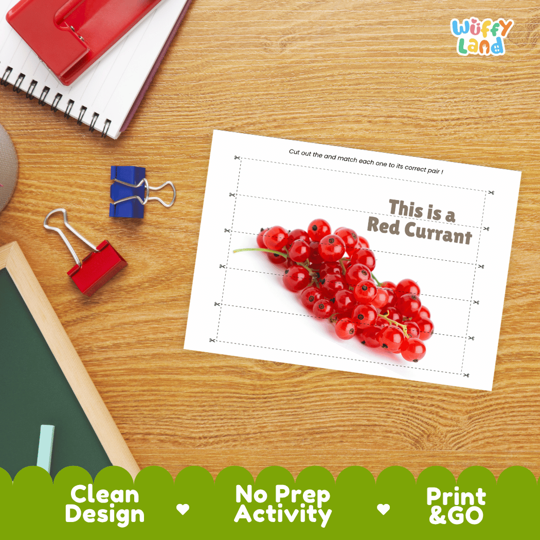 Red Currant Cut and Match Activity Worksheets | Nuts and Dried Fruits Puzzle Printables