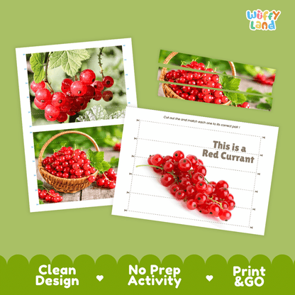Red Currant Cut and Match Activity Worksheets | Nuts and Dried Fruits Puzzle Printables