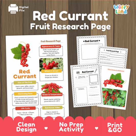 Red Currant Fruit Research Activity Worksheet Science Healthy Eating Berries
