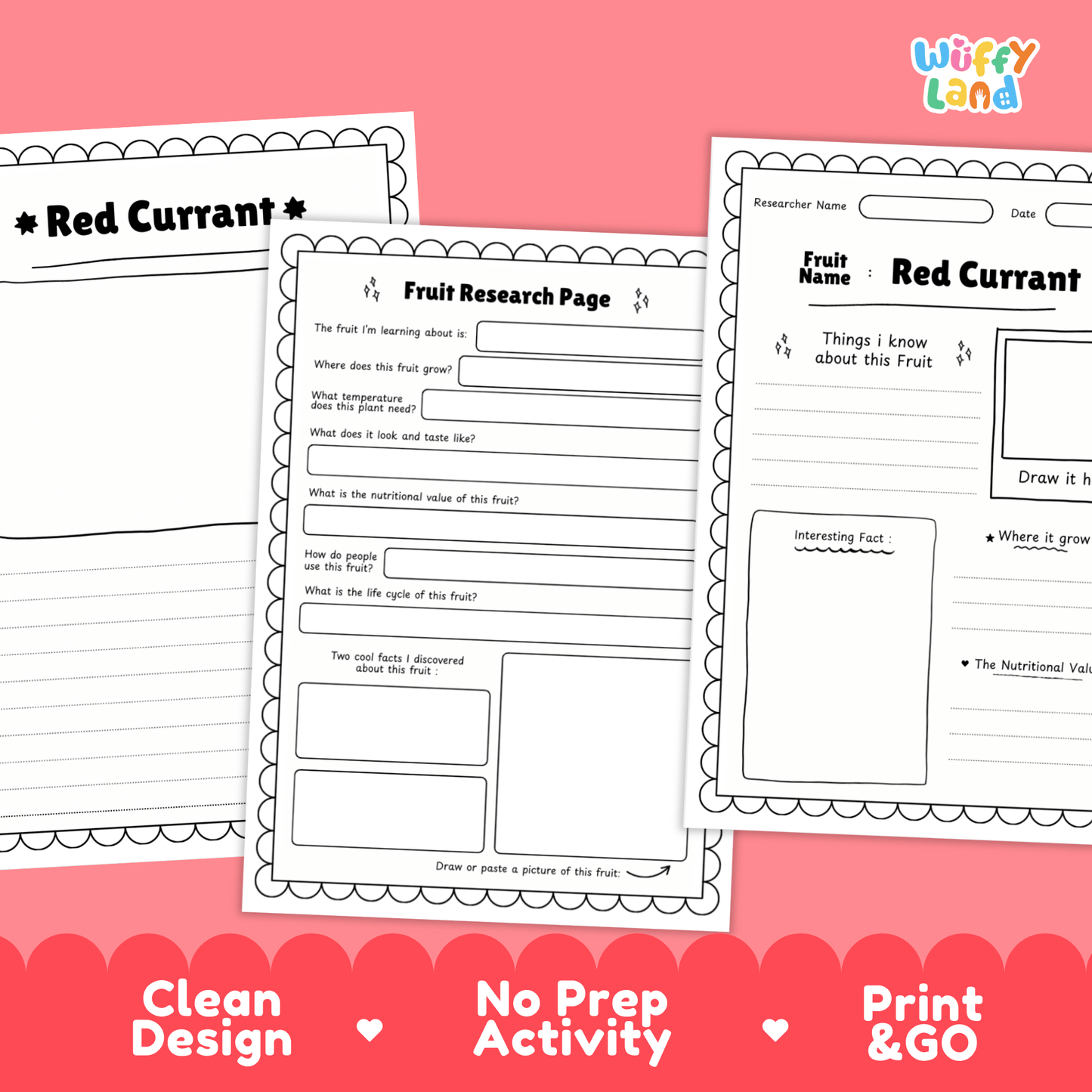 Red Currant Fruit Research Activity Worksheet Science Healthy Eating Berries
