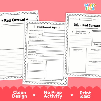 Red Currant Fruit Research Activity Worksheet Science Healthy Eating Berries
