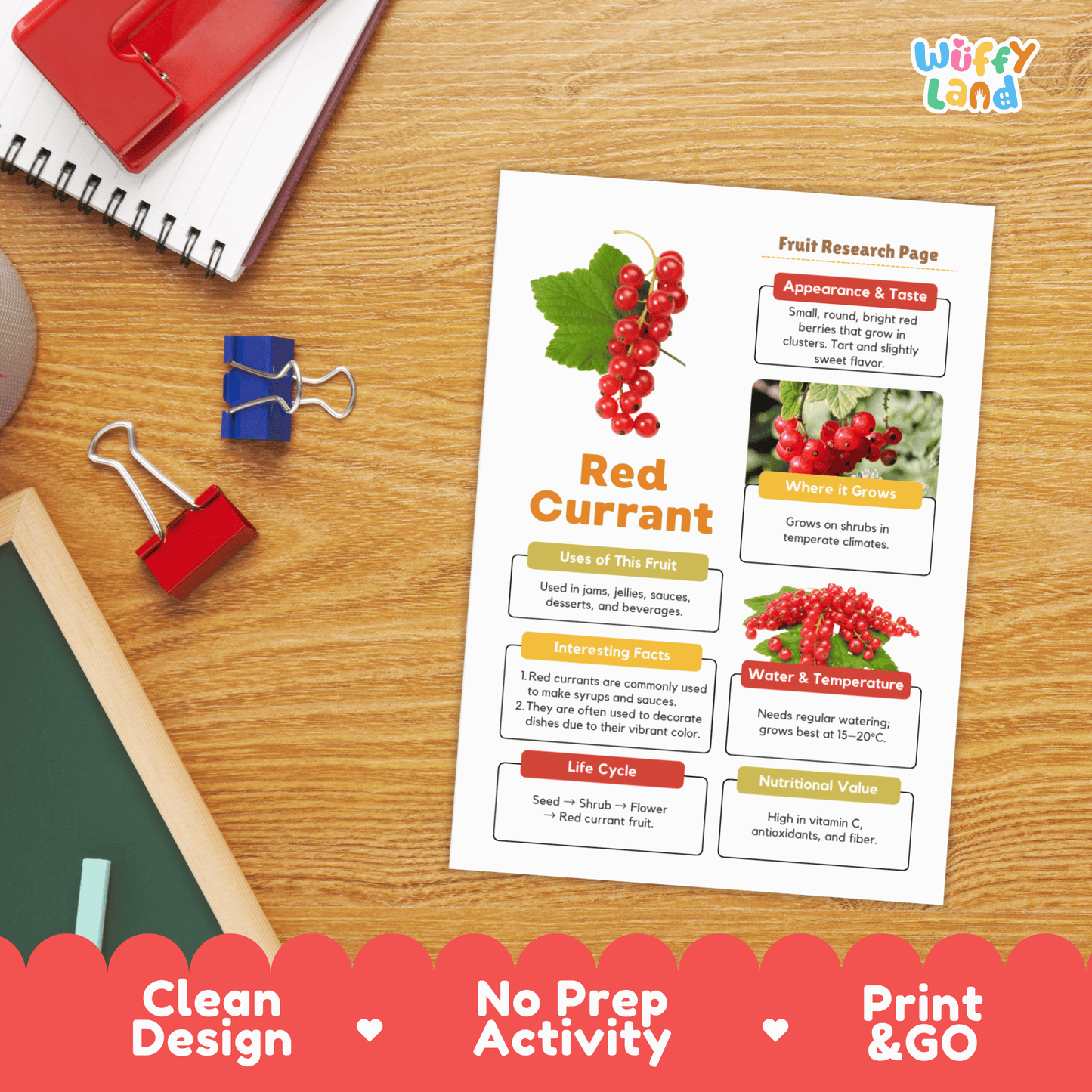 Red Currant Fruit Research Activity Worksheet Science Healthy Eating Berries
