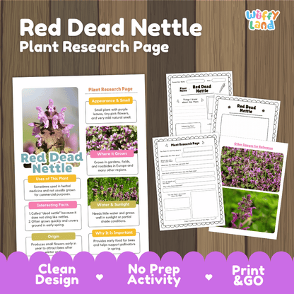 Red Dead Nettle Plant Research Pages and Worksheets