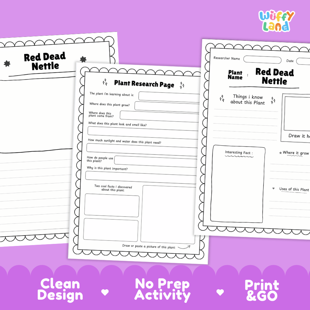 Red Dead Nettle Plant Research Pages and Worksheets
