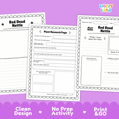 Red Dead Nettle Plant Research Pages and Worksheets
