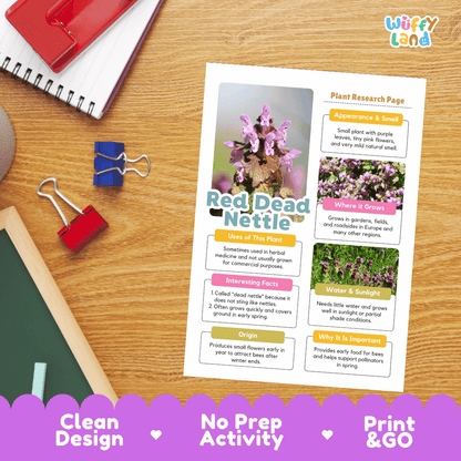 Red Dead Nettle Plant Research Pages and Worksheets