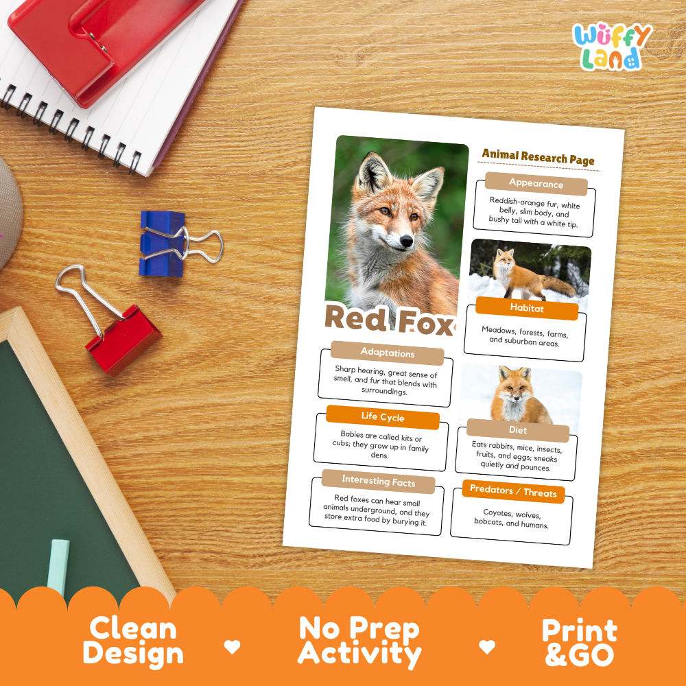 A printed educational activity sheet titled 'RedfFox: Animal Research Page' lies on a wooden desk. The sheet features a photo of a red fox, labeled facts, and sections for adaptations, habitat, diet, life cycle, and interesting facts.