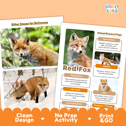 Red Fox Animal Research Project Printable Informational Writing Worksheets