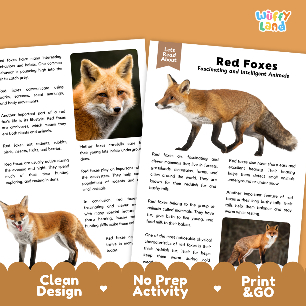 Two printed activity book pages for children about red foxes, shown on a light wood background with decorative badges reading 'Clean Design', 'No Prep Activity', and 'Print & Go'. The pages feature a fox illustration and text blocks.