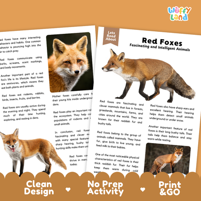 Two printed activity book pages for children about red foxes, shown on a light wood background with decorative badges reading 'Clean Design', 'No Prep Activity', and 'Print & Go'. The pages feature a fox illustration and text blocks.