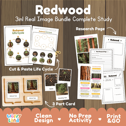 Redwood tree 3in1 real image bundle complete study printable featuring life cycle cut and paste worksheets, Montessori 3-part cards, and research pages