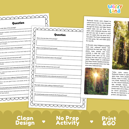 Three printable educational activity sheets for Redwood Forest learning, displayed on a yellow background with the text 'Clean Design', 'No Prep Activity', and 'Print & GO'. The sheets feature black and white text and question prompts with a small redwood tree photo on one sheet.