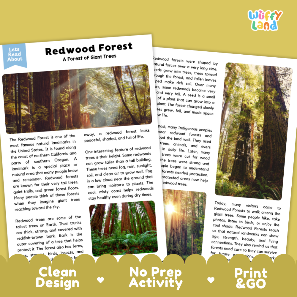 Redwood Forest Landmark Reading Passage and Comprehension Questions Worksheets