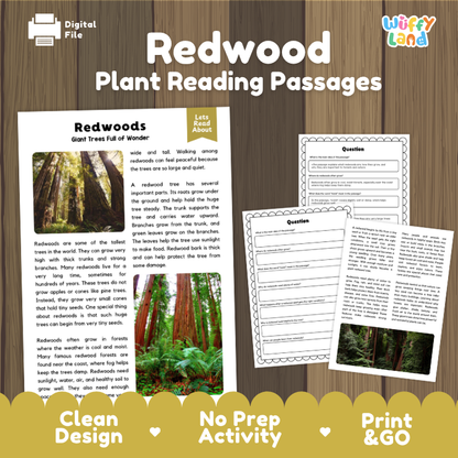 Redwood Plant Reading Passages and Comprehension Questions Worksheets