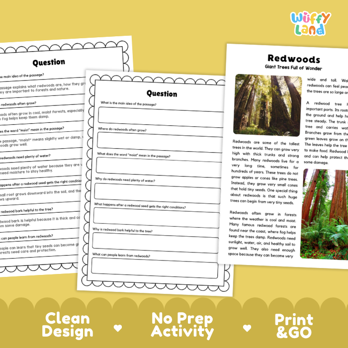 Redwood Plant Reading Passages and Comprehension Questions Worksheets