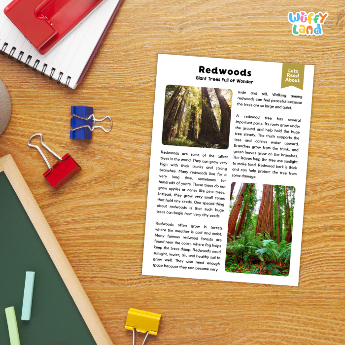 Redwood Plant Reading Passages and Comprehension Questions Worksheets