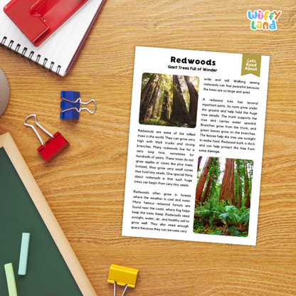 Redwood Plant Reading Passages and Comprehension Questions Worksheets
