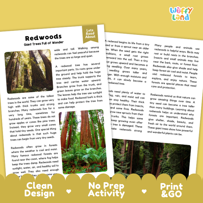 Redwood Plant Reading Passages and Comprehension Questions Worksheets