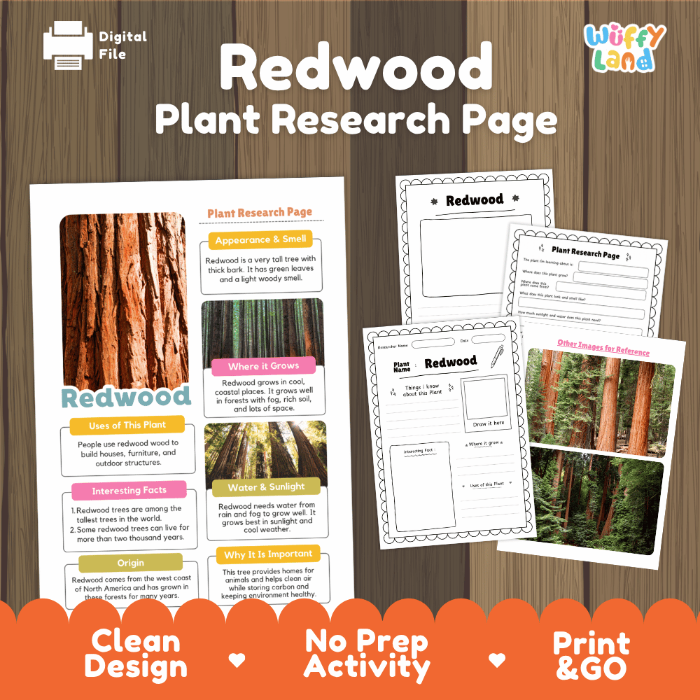 Redwood Tree Plant Research Page Worksheets and Fact Sheet Activity