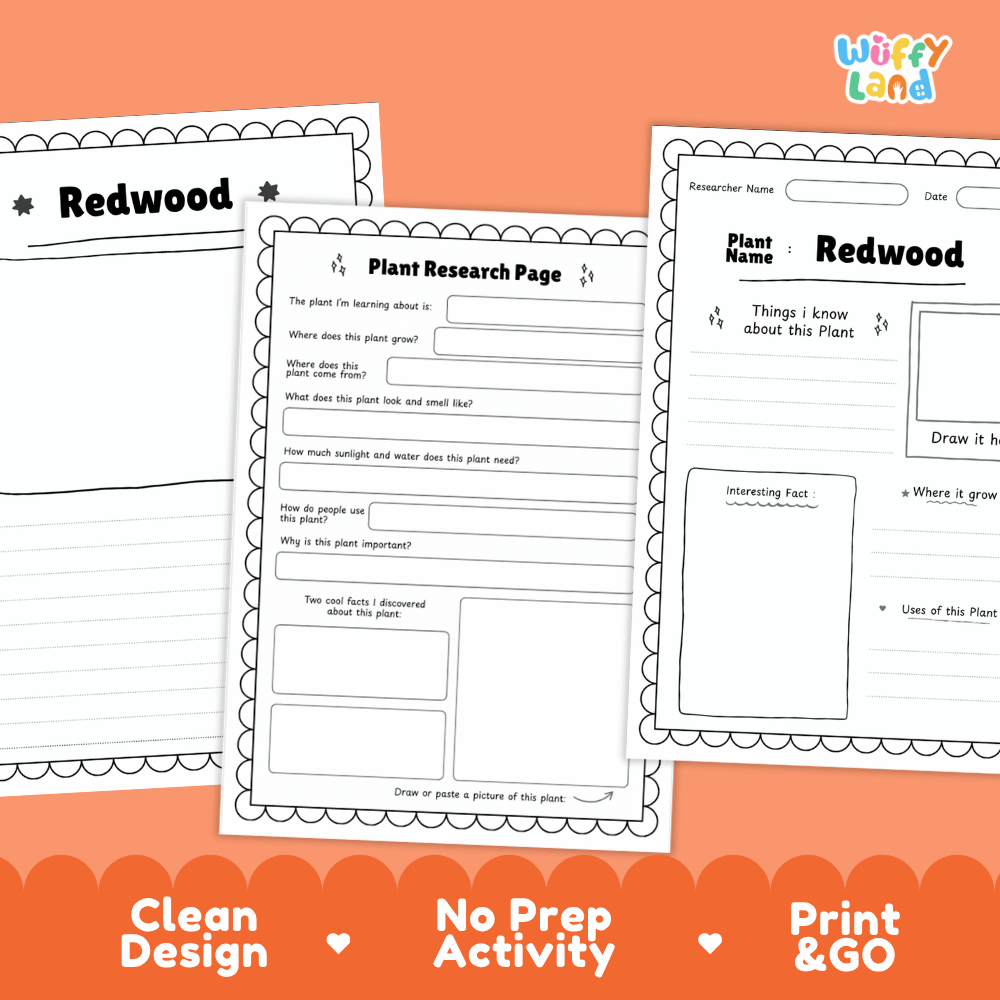 Redwood Tree Plant Research Page Worksheets and Fact Sheet Activity