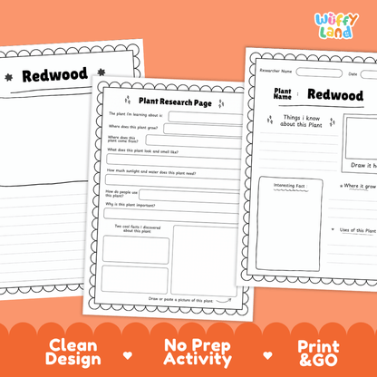 Redwood Tree Plant Research Page Worksheets and Fact Sheet Activity