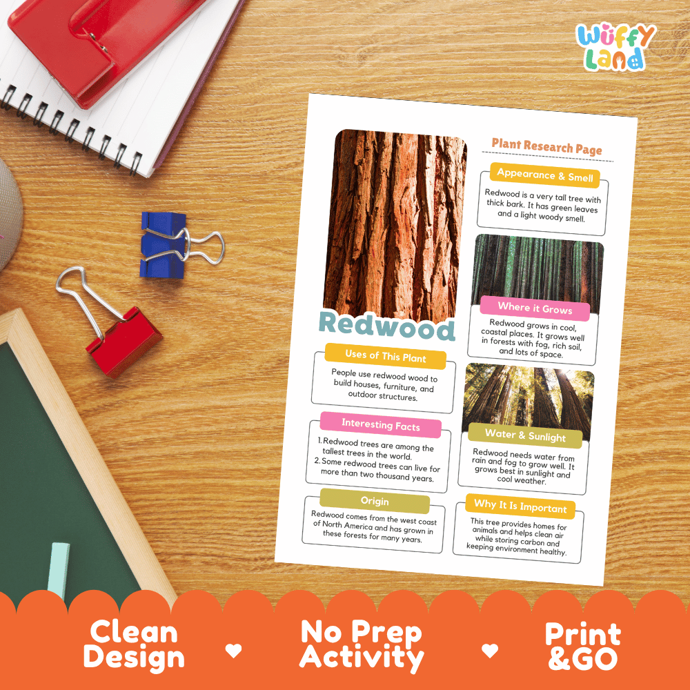 Redwood Tree Plant Research Page Worksheets and Fact Sheet Activity