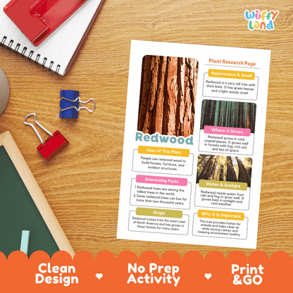 Redwood Tree Plant Research Page Worksheets and Fact Sheet Activity