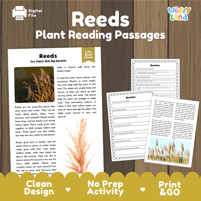 Reeds Plant Reading Passages and Comprehension Questions Worksheets