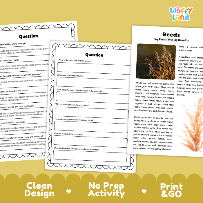 Reeds Plant Reading Passages and Comprehension Questions Worksheets