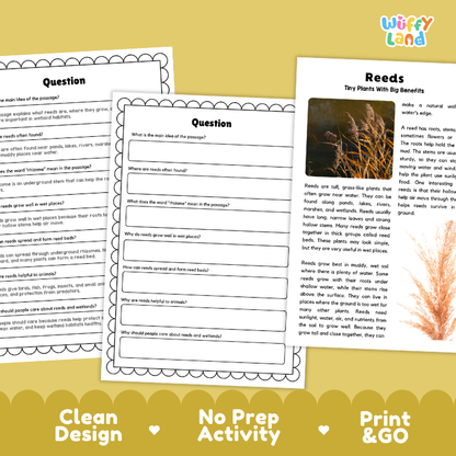 Reeds Plant Reading Passages and Comprehension Questions Worksheets