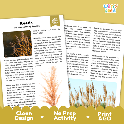 Reeds Plant Reading Passages and Comprehension Questions Worksheets