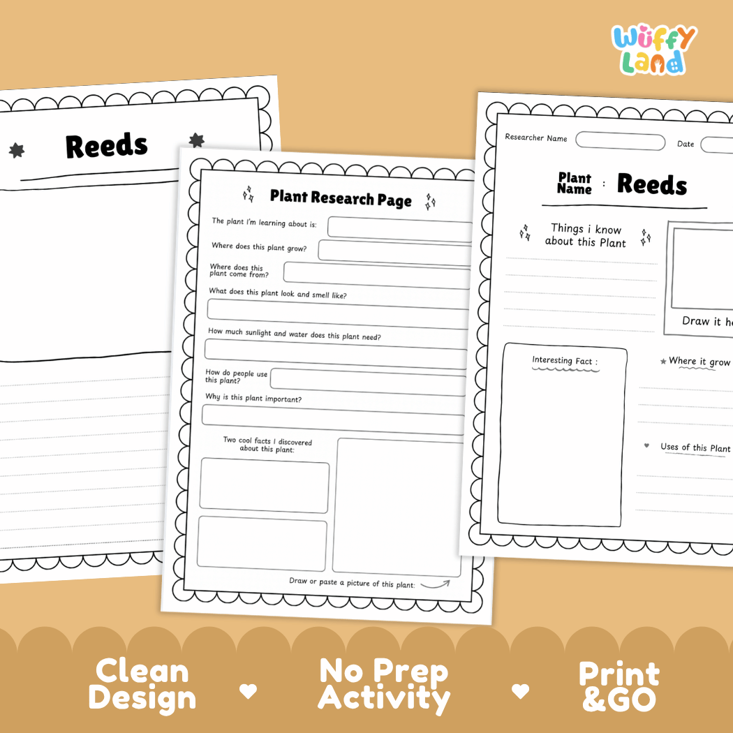 Reeds Plant Research Page Worksheets and Fact Sheet
