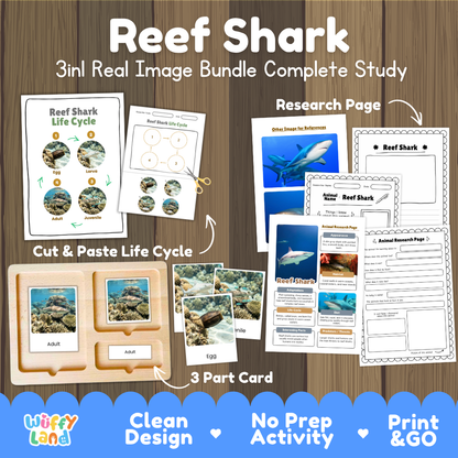 Reef shark 3-in-1 real image bundle complete study cover showing cut and paste life cycle, 3 part cards, and research pages