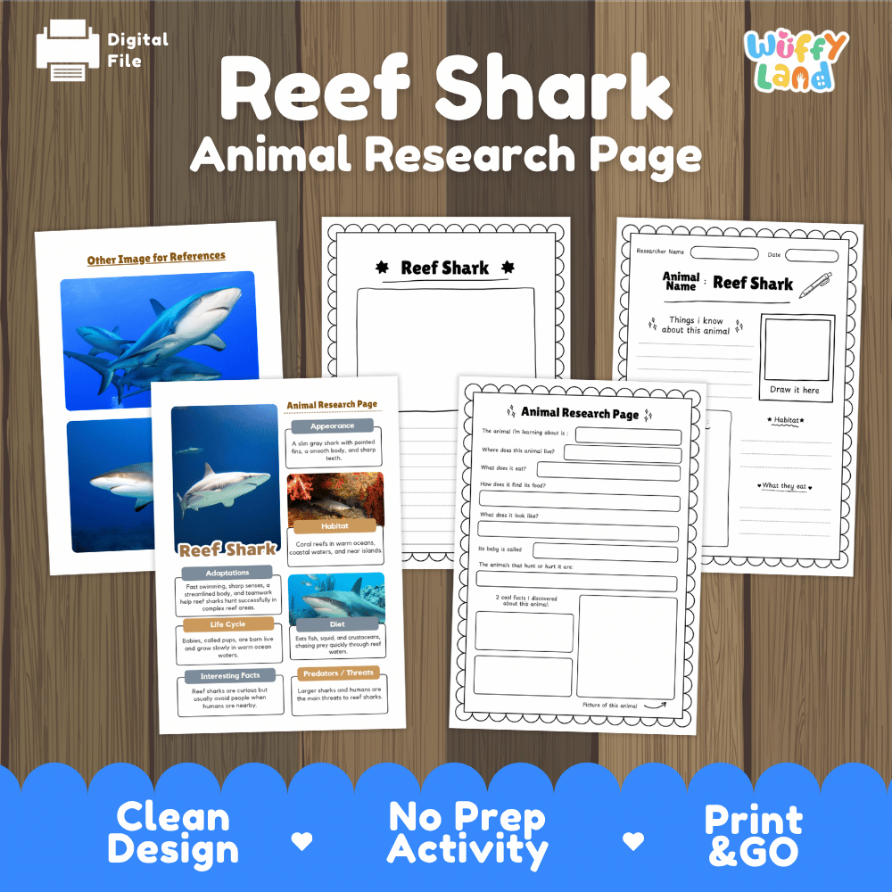 Reef Shark Animal Research Worksheets and Informational Fact Sheets