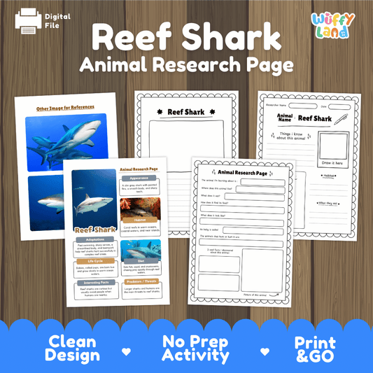 Clean design no prep print and go reef shark marine predator animal life cycle study printable PDF pack for elementary science
