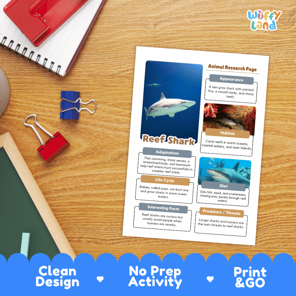 Reef Shark Animal Research Worksheets and Informational Fact Sheets