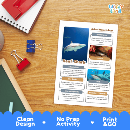 Reef Shark Animal Research Worksheets and Informational Fact Sheets